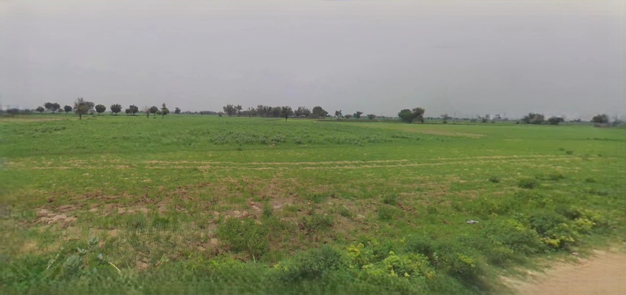 Mandsaur, Madhya Pradesh, India