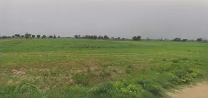 Mandsaur, Madhya Pradesh, India preview 2