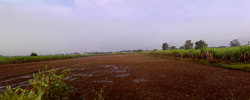 Bhagwanpur, Uttarakhand 247661, India preview 2