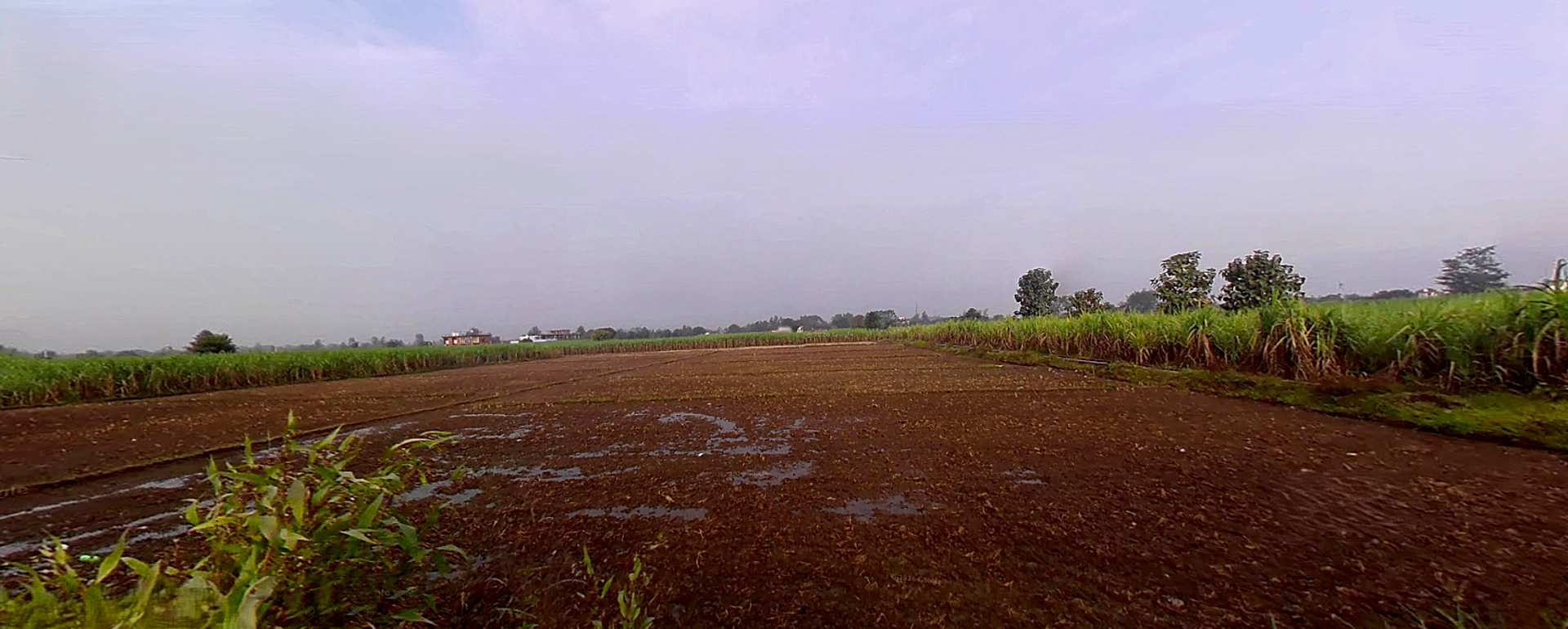 Bhagwanpur, Uttarakhand 247661, India