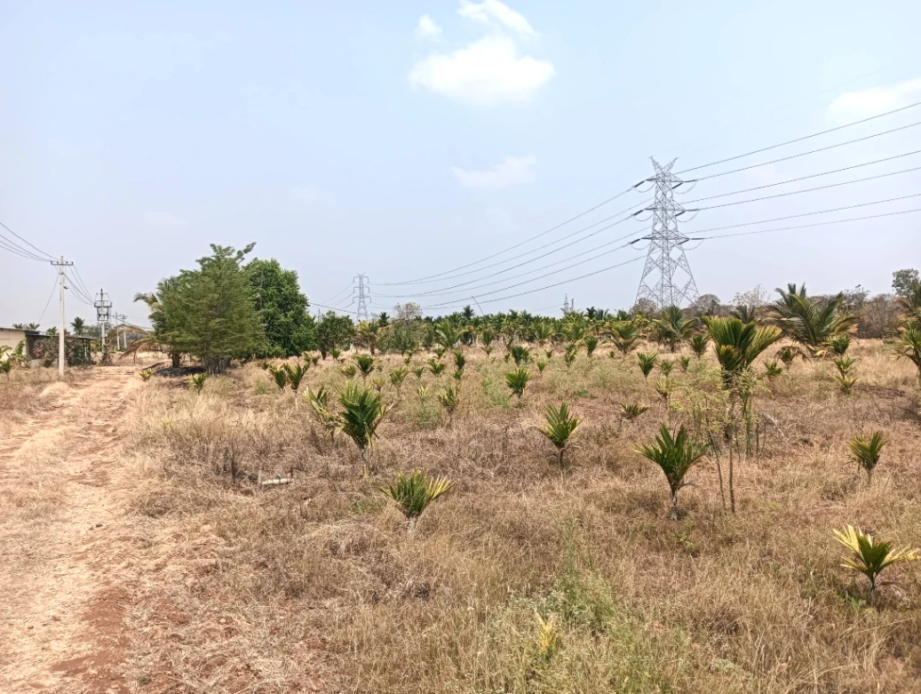 Hiriyur, Karnataka, India