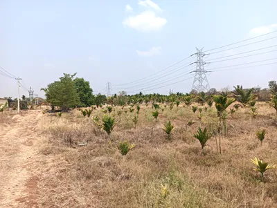 Hiriyur, Karnataka, India preview 3