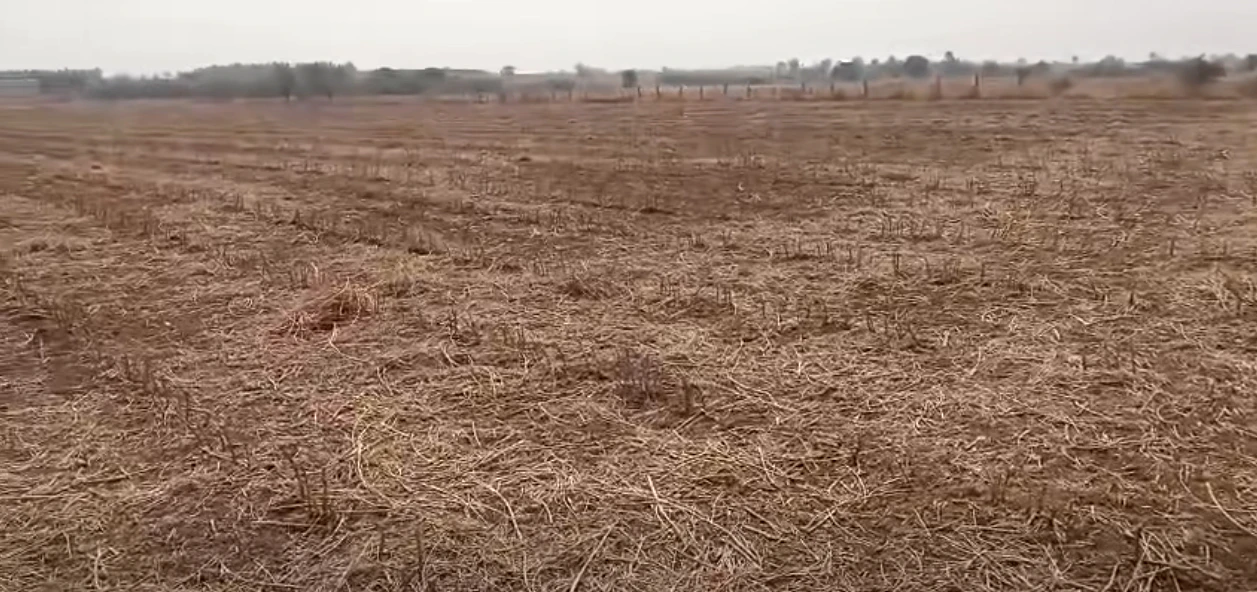 Roddam, Andhra Pradesh 515123, India