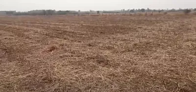 Roddam, Andhra Pradesh 515123, India preview 2