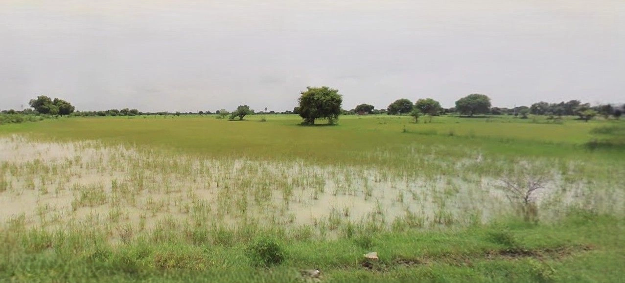 Rampur Maniharan, Uttar Pradesh 247451, India