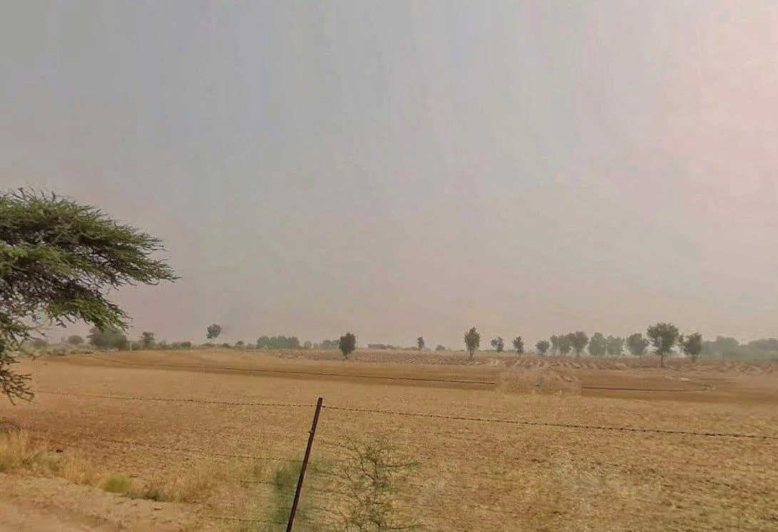 V8GR+38 2 Rm 465 Rd, Rajasthan, India