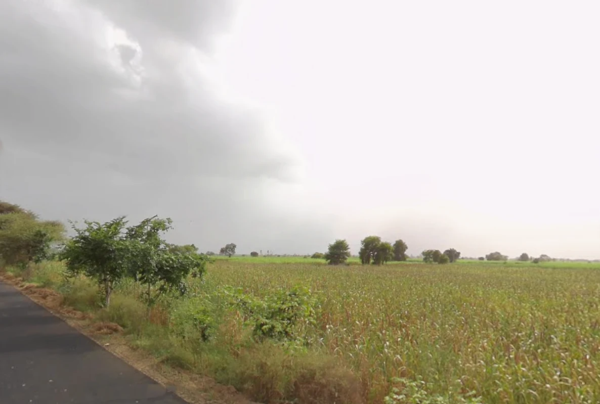 Beri, Haryana 124201, India