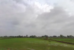 Pond, Chhattisgarh 493661, India preview 4