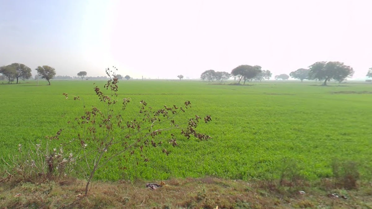 Musahari, Madhya Pradesh 475220, India