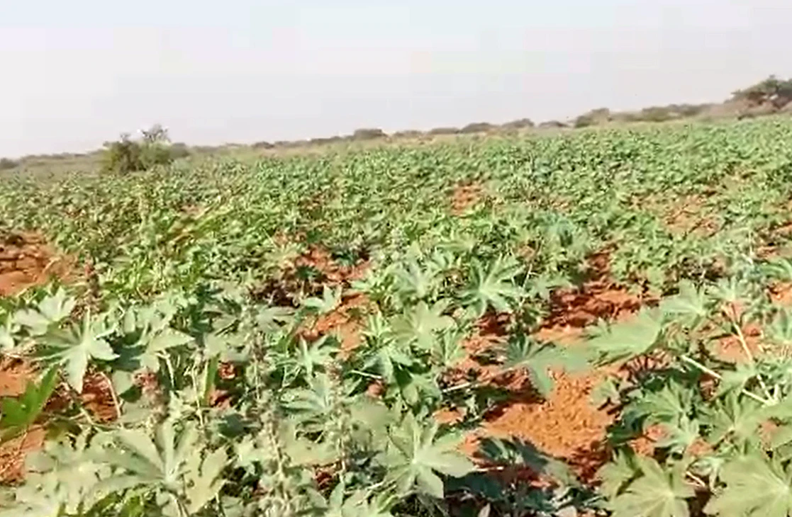 Koriyani, Kachchh, Gujarat 370601, India