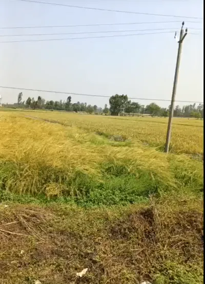 Maman Khurd, Uttar Pradesh 203002, India preview 3