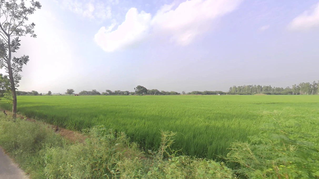 Dibai, Uttar Pradesh 203393, India