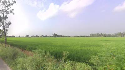 Dibai, Uttar Pradesh 203393, India preview 2