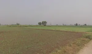 Baraut, Uttar Pradesh 250611, India preview 3