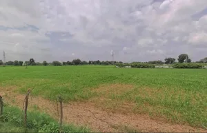 JX9C+GJV, Dheemra, Rajasthan 313601, India preview 3