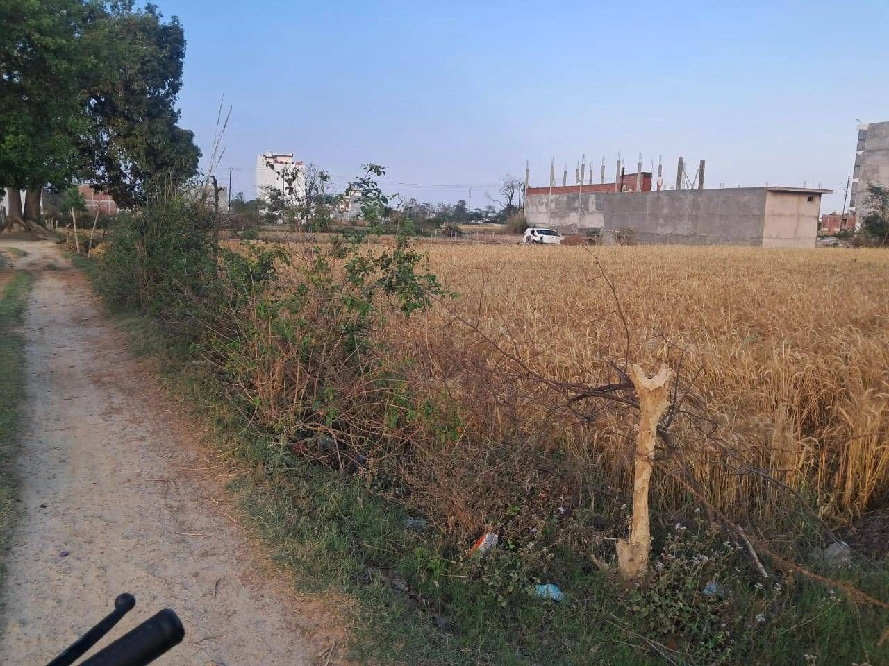 Aloda, Rajasthan 332602, India