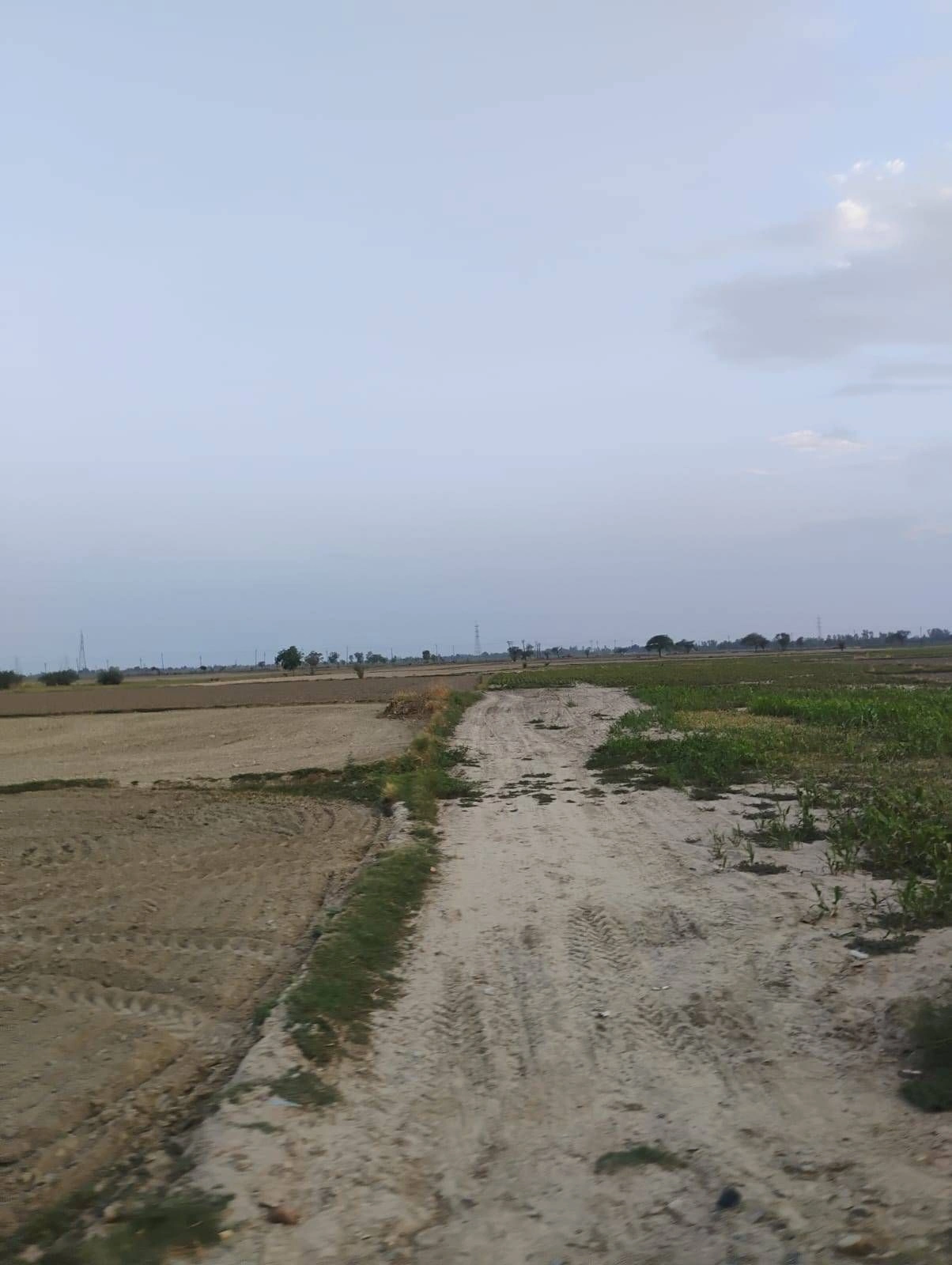 Bishambhara, Uttar Pradesh 281404, India