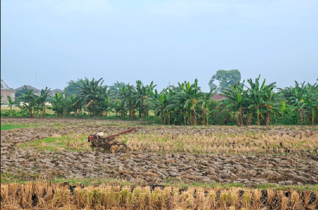 Mudpar 1, Chhattisgarh 493225, India