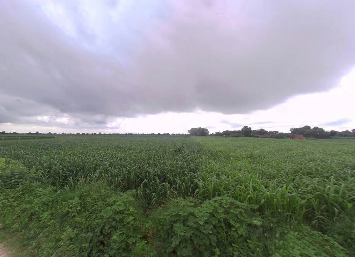 39JJ+5F5, Kaimasi, Rajasthan 321302, India preview 3