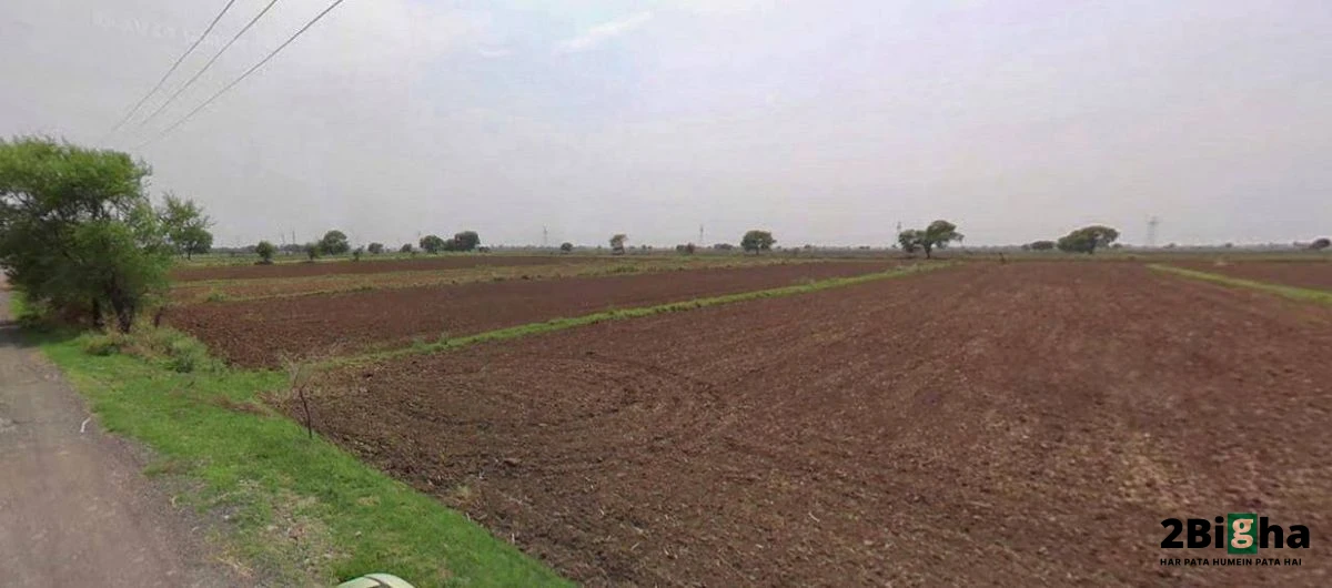 Jhajjar, Haryana 124103, India
