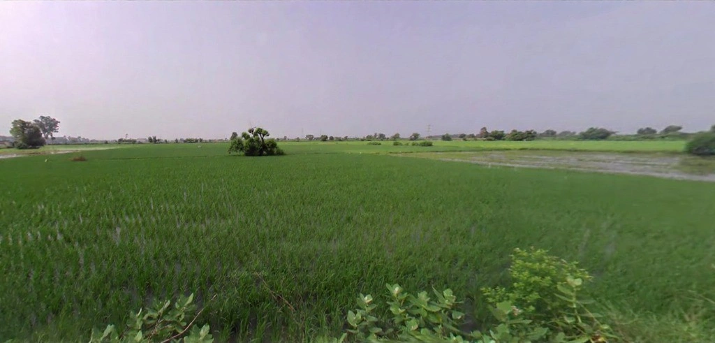 Arpana Trust, Madhuban, Karnal, Madhuban, Haryana 132037, India