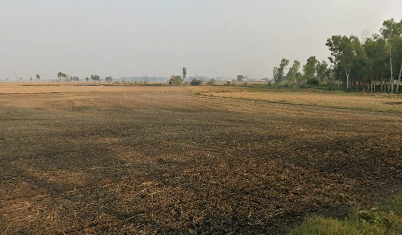 Kharar, Punjab 140301, India