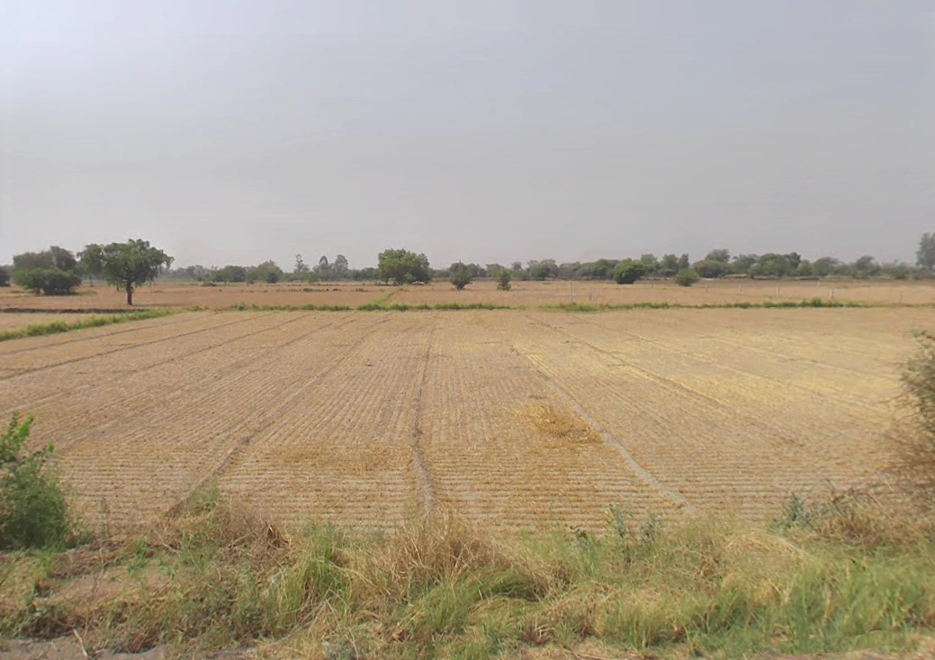 Fatehpuri, Haryana 124109, India