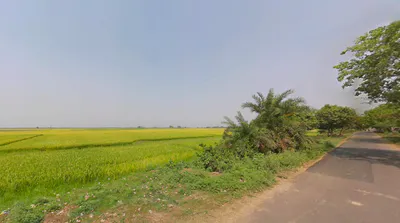 PJCQ+48J, Dhenkanal, Dudhakateni, Odisha 759013, India preview 3