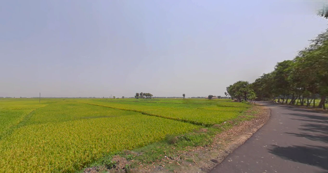 Semiliguda, Odisha 764036, India