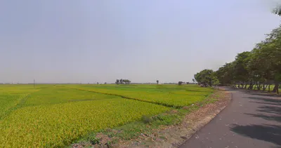 Semiliguda, Odisha 764036, India preview 2