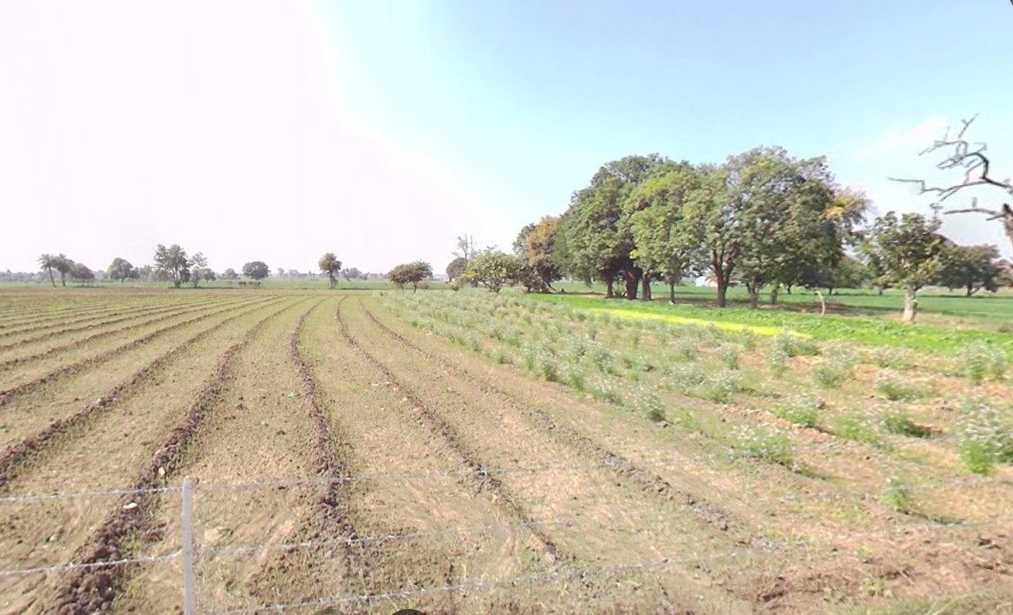 Vilai, Madhya Pradesh 464573, India preview 3