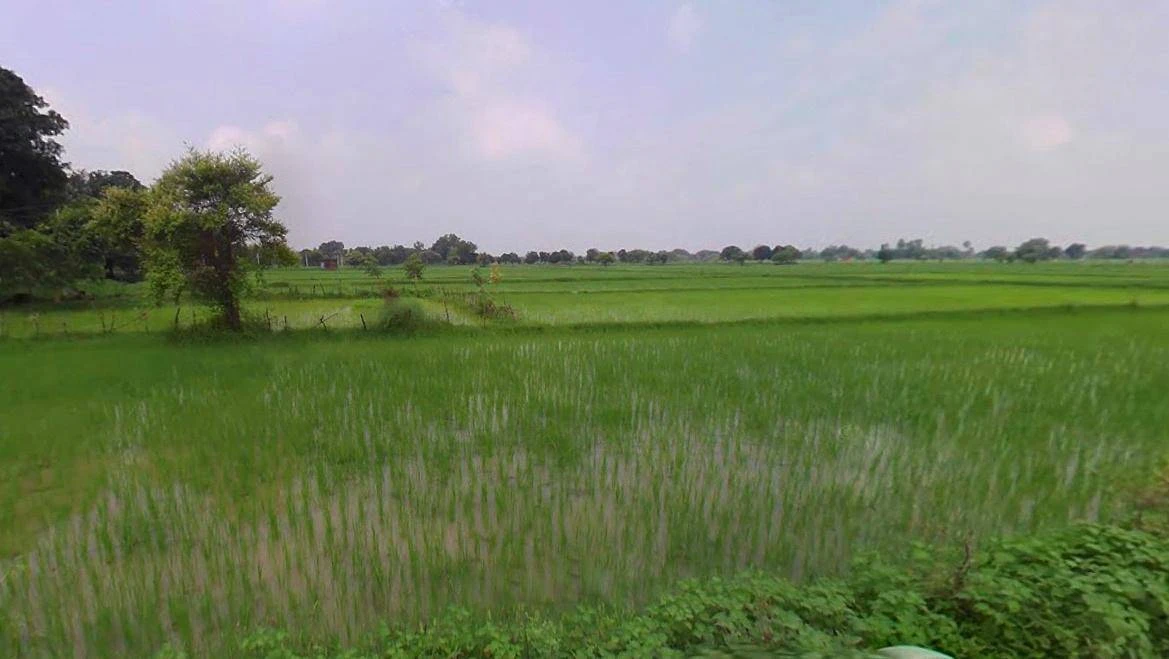 Rohtak, Haryana, India