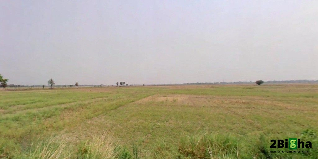 Nayagaon, Bihar 841217, India