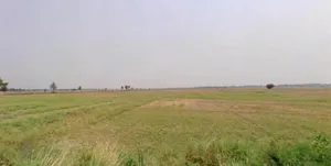 Nayagaon, Bihar 841217, India preview 2