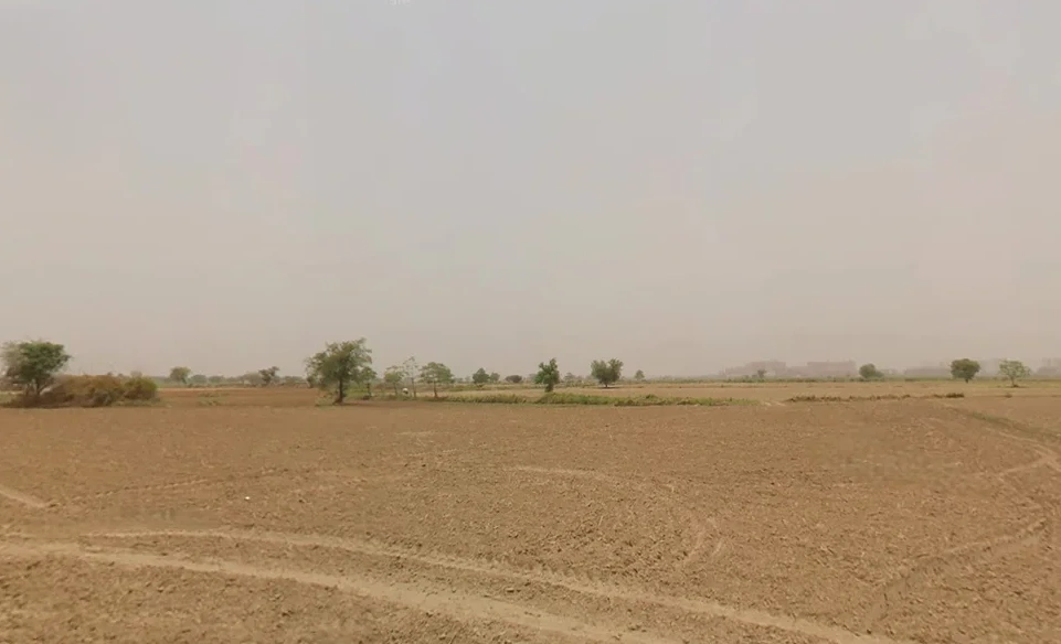 FQFJ+PC7, Nasopur, Choroti Istmurar, Rajasthan 301001, India preview 2