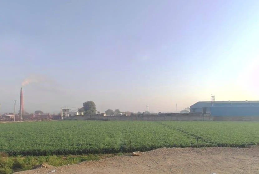 GPH8+3PQ, RJ SH 14, Dhadholi, Rajasthan 301030, India