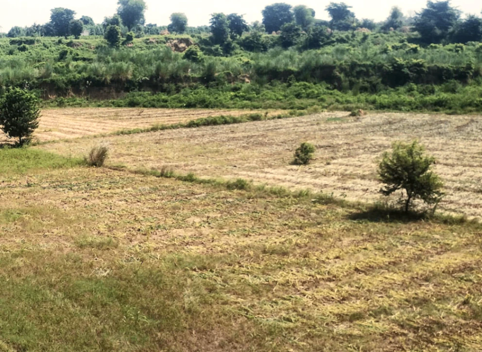 Dittupur, Punjab, India