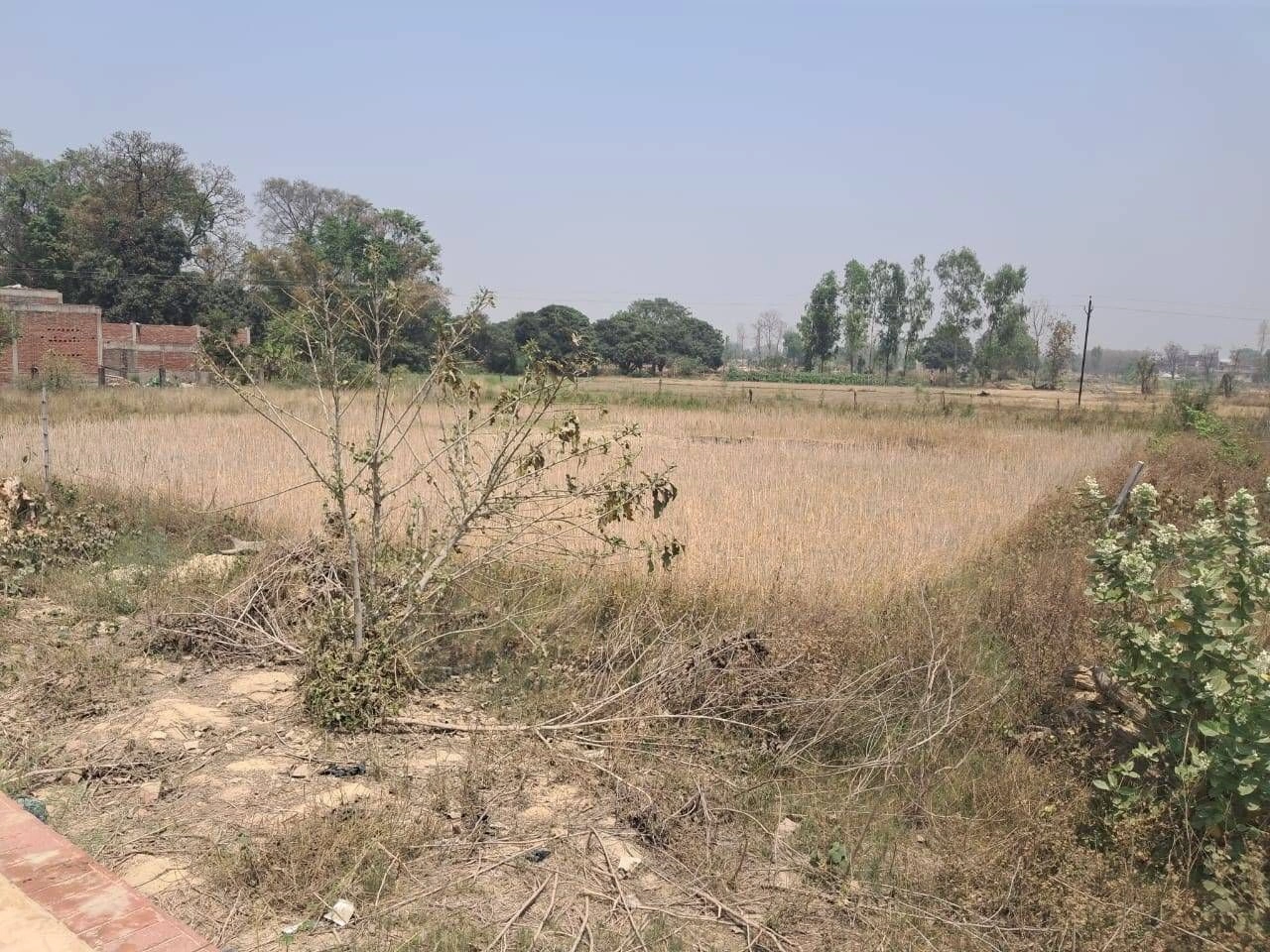 Bhagwanpura, Rajasthan 311026, India