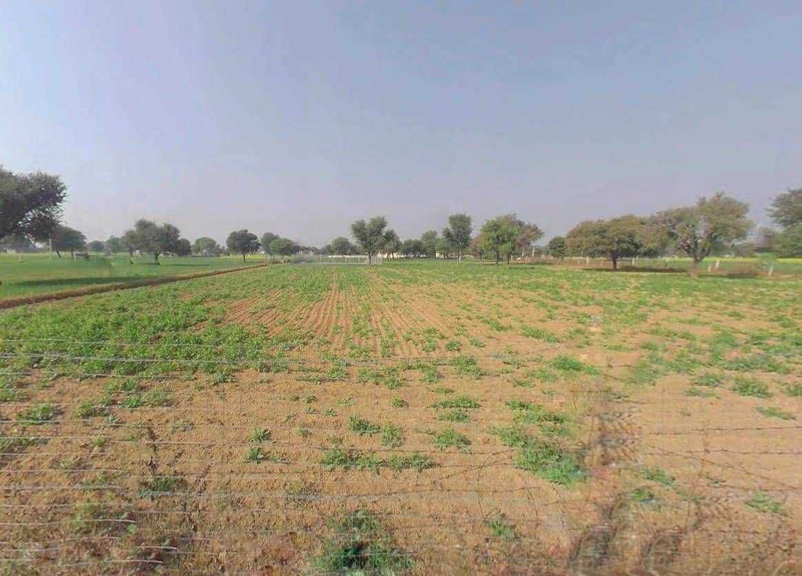 Govindgarh, Rajasthan 303712, India