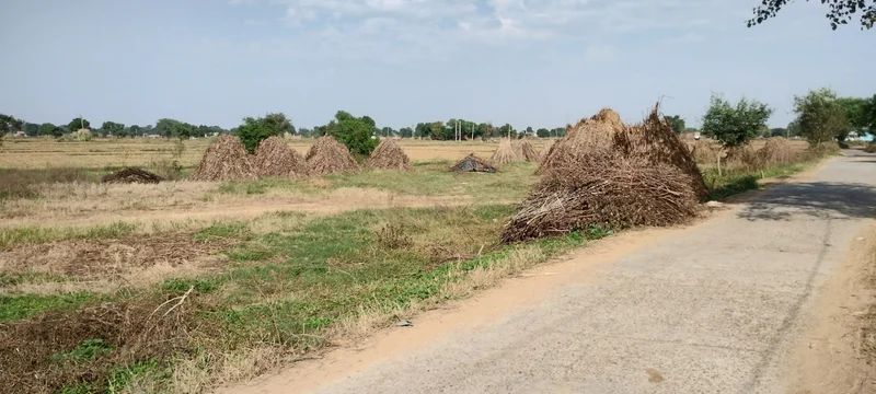 FWR6+JJ5, Gahankar, Rajasthan 301021, India preview 3