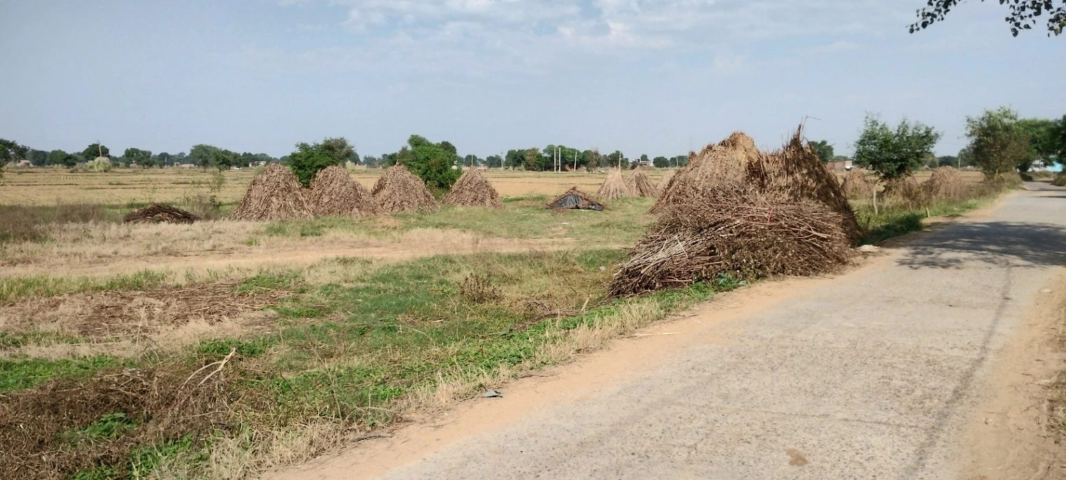 FWR6+JJ5, Gahankar, Rajasthan 301021, India