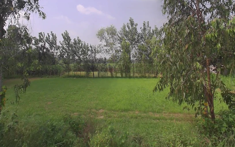 Behsuma, Uttar Pradesh 250401, India