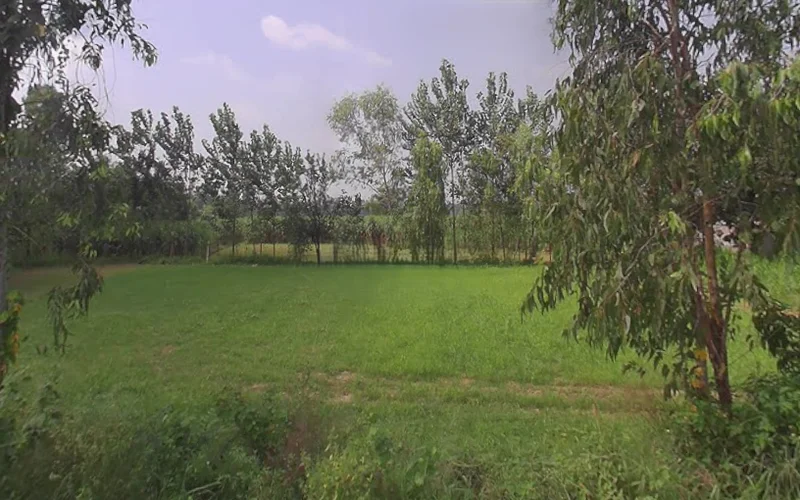 Behsuma, Uttar Pradesh 250401, India preview 3