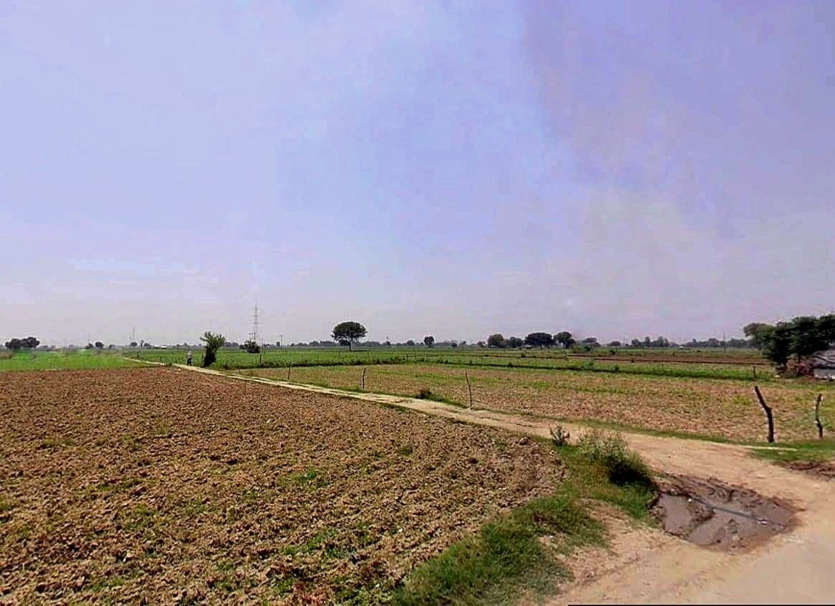 Shikarpur, Uttar Pradesh 203395, India