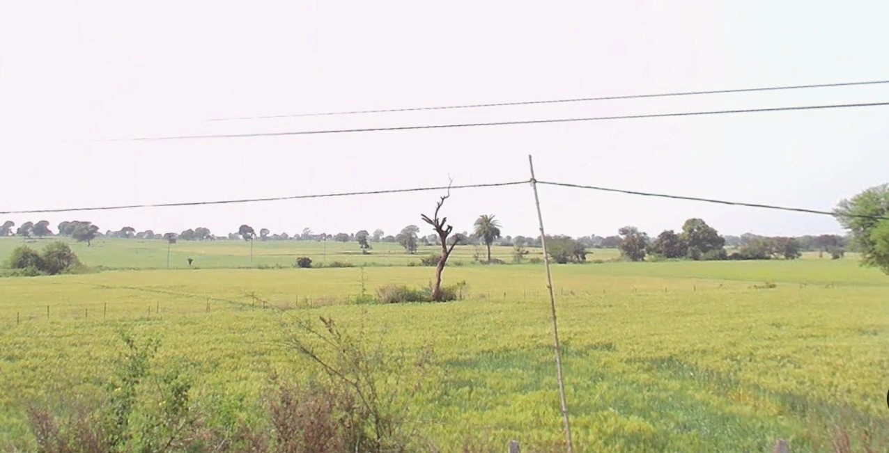 Dindori, Madhya Pradesh 481880, India