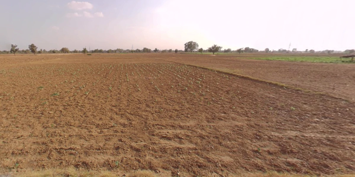 Rajgarh, Rajasthan 301408, India