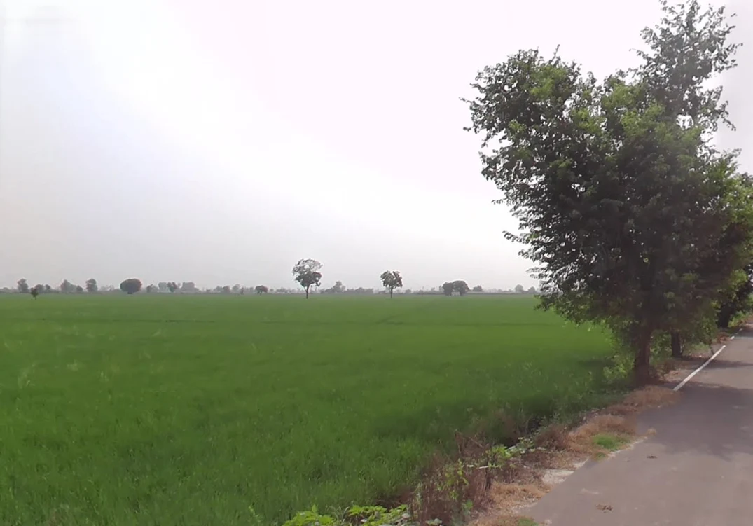 Urlana Kalan, Haryana, India