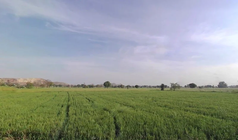 Seetal, Rajasthan 301021, India preview 2