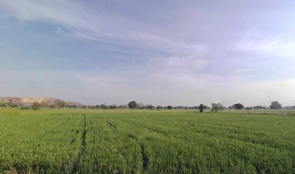 Seetal, Rajasthan 301021, India