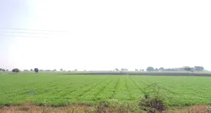 Maksi, Madhya Pradesh, India preview 3